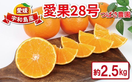愛果28号 4kg つばさ農園 果物 フルーツ 柑橘 みかん 国産 愛媛 宇和島 B010-048010