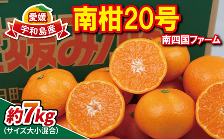温州みかん 南柑20号 7kg 大小混合 サイズ ミックス 南四国ファーム ミカン ミカン ミカン