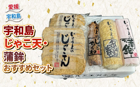 10営業日以内発送 練り物 手押し じゃこ天 蒲鉾 おすすめ セット 井上蒲鉾本舗 練物 手押しじゃこ天 蒲鉾 揚巻 じゃこ竹輪  練物練り物練り物練り物 C015-003003
