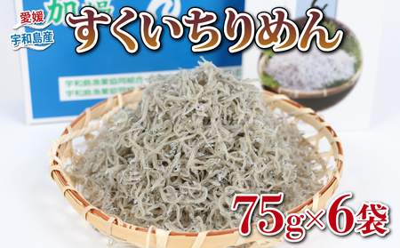 ちりめん すくいちりめん 75g×6袋 計450g 愛媛県漁業協同組合宇和島支所 じゃこ ちりめんじゃこ しらす しらす干し ちりめん干し 冷蔵 人気 おつまみ 加工品 水産品 ふりかけ 弁当 おにぎり 天日干し カタクチイワシ イワシ 高級 数量限定 産地直送 国産 愛媛 宇和島 D018-027003