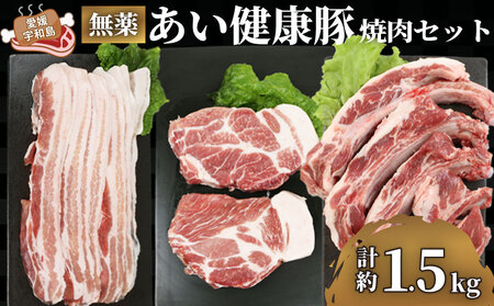 焼肉 セット 豚肉 計約 1.5kg バラ肉 厚切り 300g カタロース ステーキ 2枚 骨付き リブ ロース 750g 無薬 あい健康豚 niku BBQ 豚 焼き肉 ぶた ぶたにく お肉 にく ブランド パック 冷凍 農家直送 産地直送 国産 愛媛 宇和島