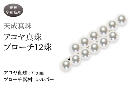 アコヤ真珠 ブローチ 7.5mm 12珠 天成真珠 パール アクセサリー A405-114016