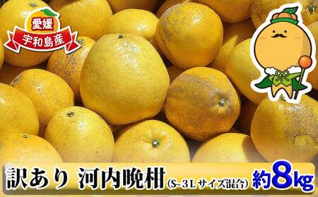 ͓ӊ 󂠂 8kg S`RL TCY  䉮 s\ Q݂ 킯 PA A ӊ 킿΂񂩂 a O[vt[c Q~J Q QY݂  ݂