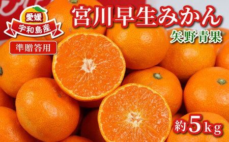 準 贈答用 みかん 宮川早生 5kg 矢野青果 準贈答用 温州みかん 柑橘 温州 うんしゅう 果物 くだもの フルーツ 濃厚 甘い 甘味 蜜柑 早生 贈答品 贈答 ギフト プレゼント 産地直送 農家直送 数量限定 国産 愛媛 宇和島 B012-171001