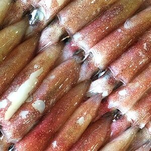 yⓀցzl!uCJ(CJ)vhJ[2kg!yF22-210zyzsnFzy1043151z