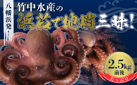 l!|ŶՂul䥂ŒnvO!Ղ2.5kgOyH22-190zyzsnFzy1043153z