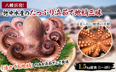 八幡浜発!竹中水産のたっぷり「浜茹で地蛸」三昧!1.5kg前後[F22-189][配送不可地域:離島]