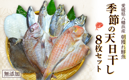 無添加・天日干し ピチピチ朝獲れ鮮魚の一夜干し8枚セット[D26-1][配送不可地域:離島]