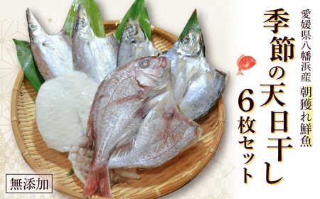 無添加・天日干し ピチピチ朝獲れ鮮魚の天日干し 6枚[C26-7][配送不可地域:離島]