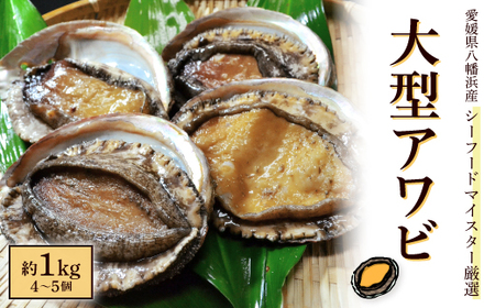 シーフードマイスター厳選　活き生き　大型アワビ　約1kg【H26-8】【配送不可地域：離島・北海道・沖縄県・東北・関東・信越、北陸・東海・九州】【1044329】