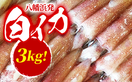 yⓀցzl!uCJ(CJ)v3.0kg!yH22-209zyzsnFzy1047026z