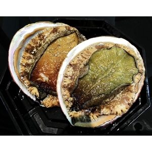 |Y̚nD̑^Ar(v800g)! yH22-225zyzsnFEkCEꌧzy1052350z