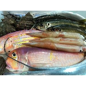竹中水産の「豪華鮮魚ボックス約4キロ」![H22-234][配送不可地域:離島・北海道・沖縄県]
