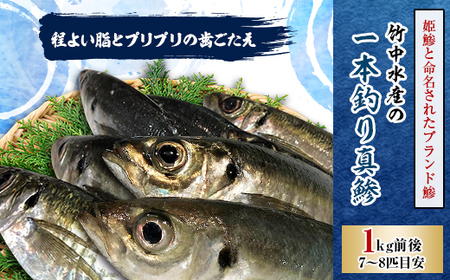 竹中水産の一本釣り真鯵!1キロ前後[C22-238][配送不可地域:離島・北海道・沖縄県・東北・関東・信越、北陸・東海・九州]