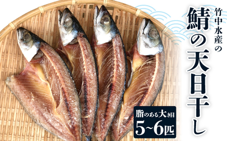 竹中水産の「鯖の天日干し」脂のある大き目を5〜6匹ご用意![C22-265][配送不可地域:離島]