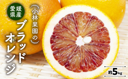 щʉ̃ubhIW(5kg)yC24-24zy1124430z
