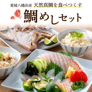 愛媛八幡浜産 天然真鯛を食べつくす 鯛めしセット[C26-2][配送不可地域:離島]