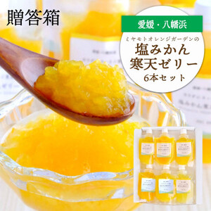 まるごと塩漬けにしたみかんを使用 塩みかん寒天ゼリー6 本セット ギフト箱入[C25-61]