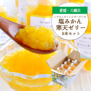 まるごと塩漬けにしたみかんを使用 塩みかん寒天ゼリー8本セット[C25-62]