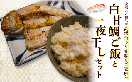 高級魚・白甘鯛ご飯と一夜干し[E26-10][配送不可地域:離島]