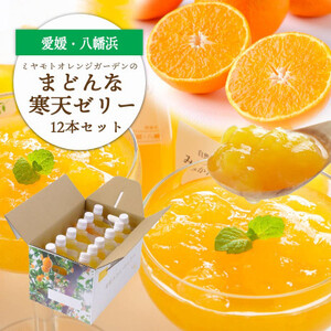 愛媛限定栽培柑橘 まどんな寒天ゼリー12本セット[D25-16]