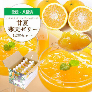 ほろ苦く甘酸っぱいさわやかな味わい 愛媛産 甘夏寒天ゼリー12本セット【D25-17】【1255524】