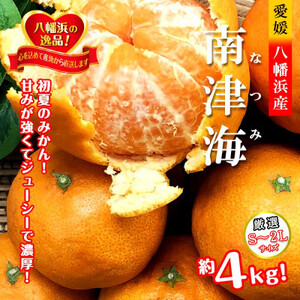2026年4月発送開始 甘みが強くて濃厚!初夏のみかん「なつみ」4キロ[C39-35][配送不可地域:離島]