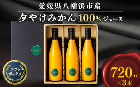 ySUNSETz[₯݂100%W[X(3{)yC49-6zy1304849z