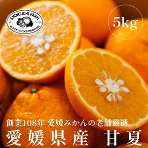 愛媛みかんの老舗厳選[甘夏5kg][C70-26]