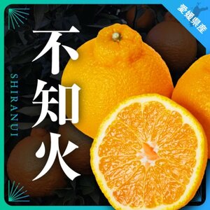 Oڂsm5kgyD31-3zyzsnFzy1042518z