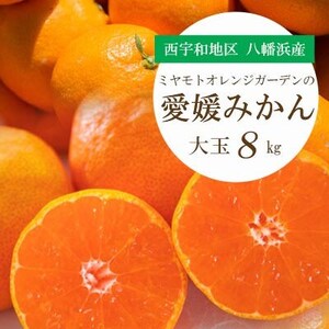 西宇和地区八幡浜産 愛媛みかん 大玉8kg【訳あり】ミヤモトオレンジガーデン【C25-142】【1166254】