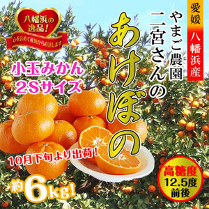 濃厚!やまご農園の「あけぼの小玉」約6kg[C39-21][配送不可地域:離島・北海道・沖縄県]