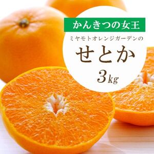 y2026N2ȍ~zƂ낯Zk Ƃ 3kg QlYyE25-9zy1268365z