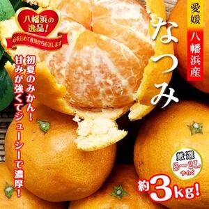 2026N4Jn@Â݂ĔZȖ킢Ă݂̂uȂ݁v3kg  yC39-57zyzsnFzy1491395z