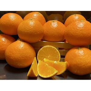 zƊĈ܂ǂ2.5kgypzyD73-2zy1491884z