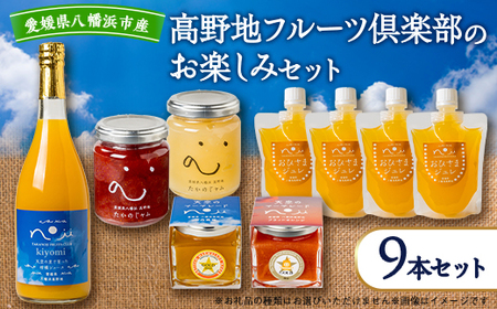 高野地フルーツ倶楽部のお楽しみセット[F46-6]