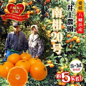 M、Sサイズでお届け・濃厚な味わい! 井上農園「南柑20号」約5kg [C39-12]