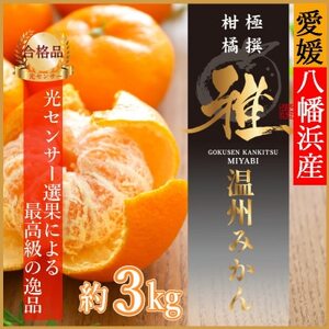 極撰柑橘“雅”光センサー合格品「八幡浜温州みかん」約3キロ 【C39-53】_美味しいみかん 美味しいミカン おいしいみかん おいしいミカン 人気のみかん 人気のミカン 国産みかん 国産ミカン 八幡浜みかん 八幡浜ミカン 甘いみかん 甘いミカン あまいみかん アマイミカン 果物みかん くだものみかん 果物ミカン クダモノミカン 美味しい温州 美味しいウンシュウ おいしい温州 おいしいウンシュウ 人気の温州 人気のウンシュウ 国産温州 国産ウンシュウ 八幡浜温州 八幡浜ウンシュウ 甘い温州 甘いウンシュウ あまい温州 アマイウンシュウ 果物温州 くだもの温州 果物ウンシュウ クダモノウンシュウ 美味しい柑橘 美味しいカンキツ おいしい柑橘 おいしいカンキツ 人気の柑橘 人気のカンキツ 国産柑橘 国産カンキツ 八幡浜柑橘 八幡浜カンキツ 甘い柑橘 甘いカンキツ あまい柑橘 アマイカンキツ 果物柑橘 くだもの柑橘 果物カンキツ クダモノカンキツ_【配送不可地域：離島】【1464138】