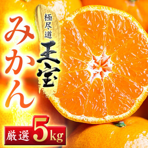 【愛媛名産】玉宝みかん【雫・・小玉】(5kg)【D64-2】【1340914】