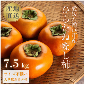 国安さんちのひらたねなし柿 7.5kg[F20-27]