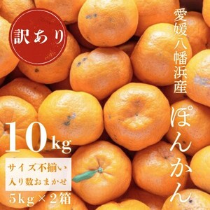 y썑Ɠ̍z󂠂 Q|J 10kgyC20-13zy1094582z
