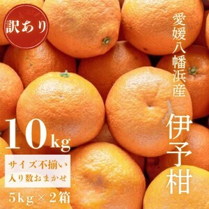 yu₩Ə_炩W[V[ȉʓzQlY 󂠂 {ɗ\ 10kgyD20-16zy1094592z