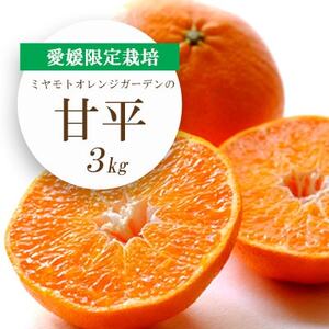 【2025年1月下旬以降発送】愛媛限定栽培柑橘 甘平(かんぺい)3kg【D25-8】【1268366】