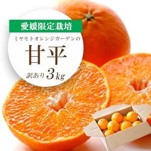 [2025年1月下旬以降発送]愛媛限定栽培柑橘 甘平(かんぺい)3kg[訳あり][C25-137]