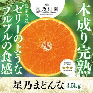 星乃みかん園の 星乃まどんな (3.5kg)【E45-63】_美味しいみかん 美味しいミカン おいしいみかん おいしいミカン 人気のみかん 人気のミカン 国産みかん 国産ミカン 八幡浜みかん 八幡浜ミカン 甘いみかん 甘いミカン あまいみかん アマイミカン 果物みかん くだものみかん 果物ミカン クダモノミカン 美味しいまどんな 美味しいマドンナ おいしいまどんな おいしいマドンナ 人気のまどんな 人気のマドンナ 国産まどんな 国産マドンナ 八幡浜まどんな 八幡浜マドンナ 甘いまどんな 甘いマドンナ あまいまどんな アマイマドンナ 果物まどんな くだものまどんな 果物マドンナ クダモノマドンナ 美味しい柑橘 美味しいカンキツ おいしい柑橘 おいしいカンキツ 人気の柑橘 人気のカンキツ 国産柑橘 国産カンキツ 八幡浜柑橘 八幡浜カンキツ 甘い柑橘 甘いカンキツ あまい柑橘 アマイカンキツ 果物柑橘 くだもの柑橘 果物カンキツ クダモノカンキツ_【1339327】