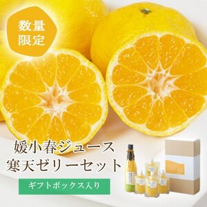 愛媛でしか栽培できない希少柑橘 媛小春(ひめこはる)のジュースと寒天ゼリーセット【D25-84】【1309625】