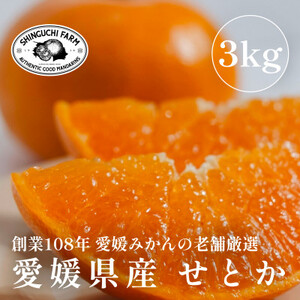 y2026N2zk̑gyƂ 3kgzƒp Q݂̘V܁yE70-9zy1451140z