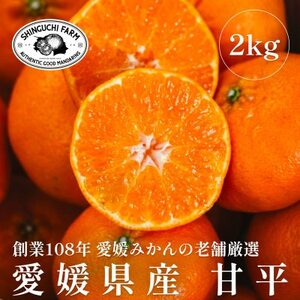 創業百八年 愛媛みかんの老舗[甘平2kg]家庭用[新口農園][C70-10]