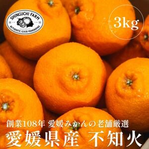 創業百八年 愛媛みかんの老舗[不知火3kg]家庭用[新口農園][C70-29]
