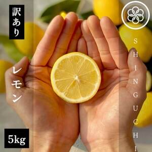[訳あり]新口農園 レモン 5kg[C70-22]